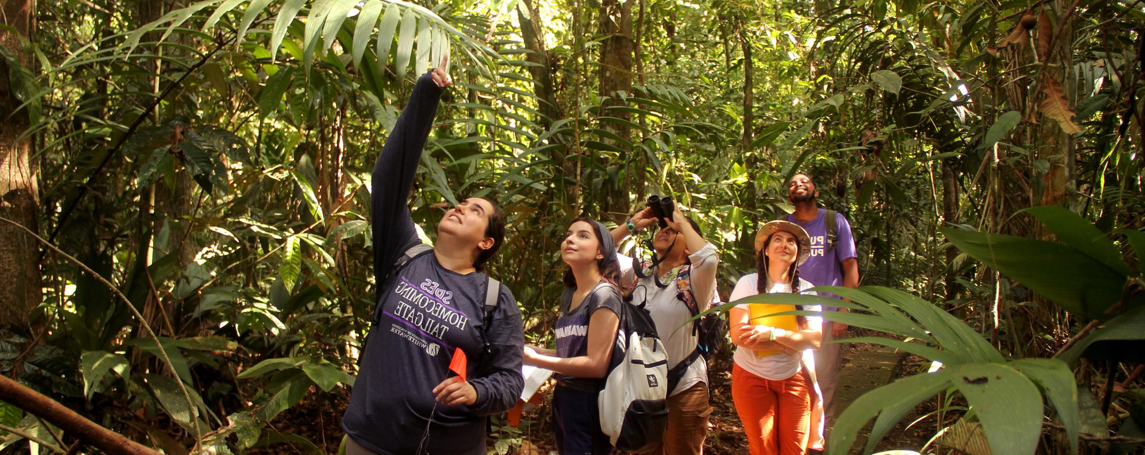 Students and faculty walk through a jungle in Costa Rica.